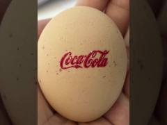 ऊंचाई 1062 एमएम डीटीएफ यूवी प्रिंटर अधिकतम चौड़ाई 620 एमएम डिजिटल इंक जेट प्रिंटर